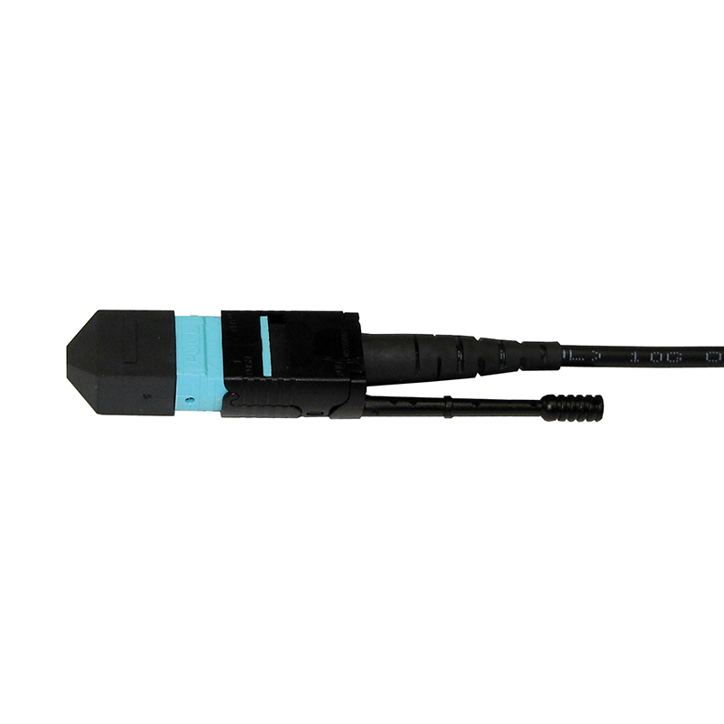 MTP-2.jpg