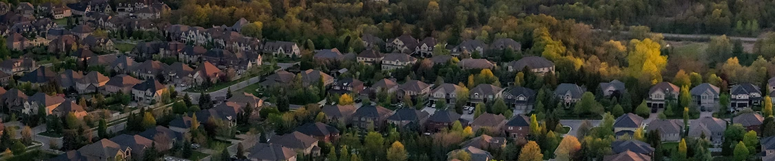 AFL Service Provider Market