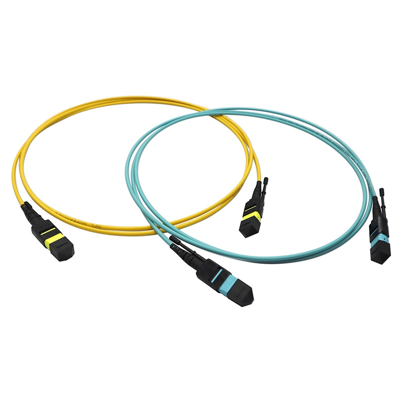 12F-24F SM-OM4 Single-Element-MTP.webp