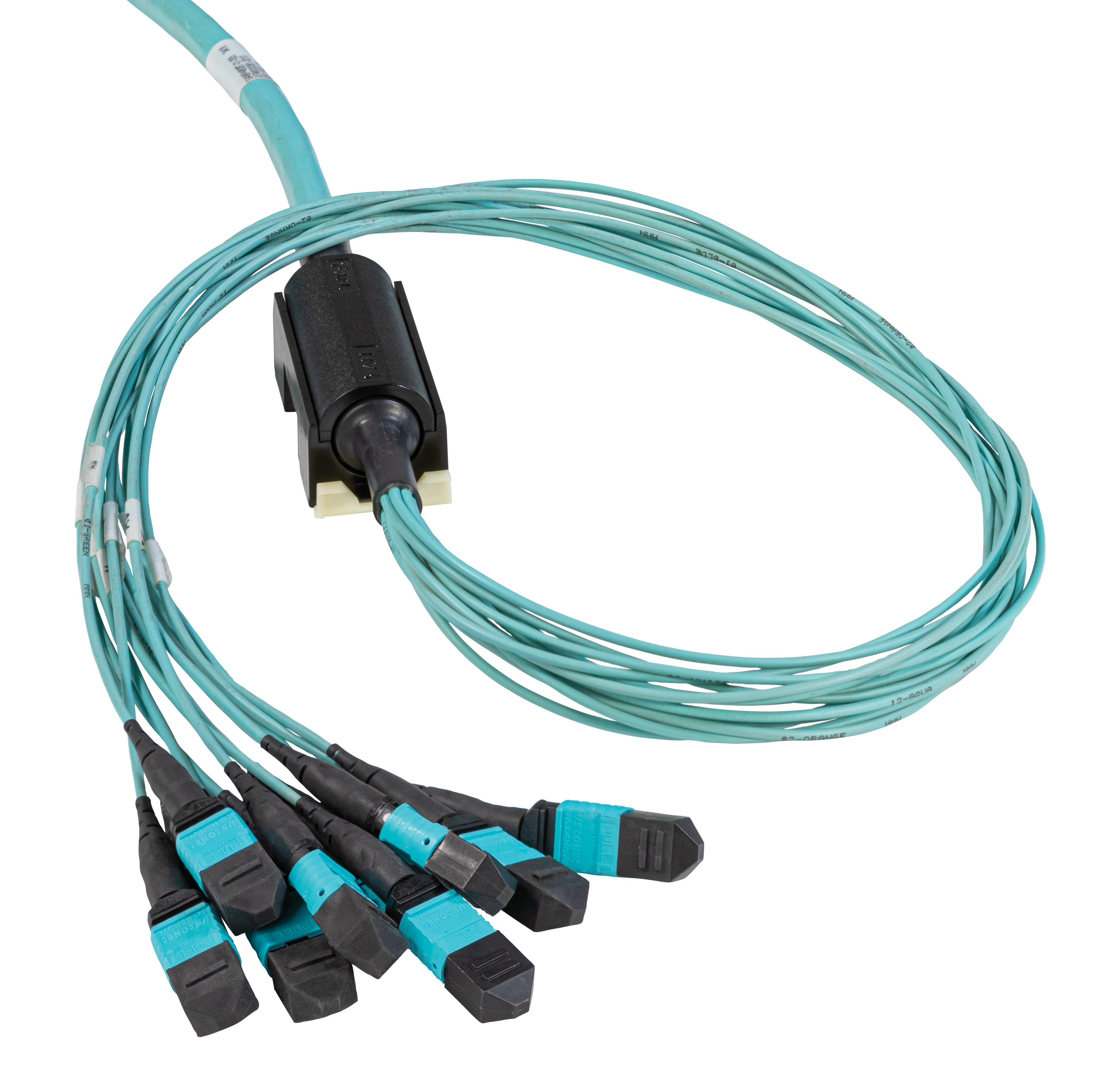 DENALI™ MPO Trunk Assemblies