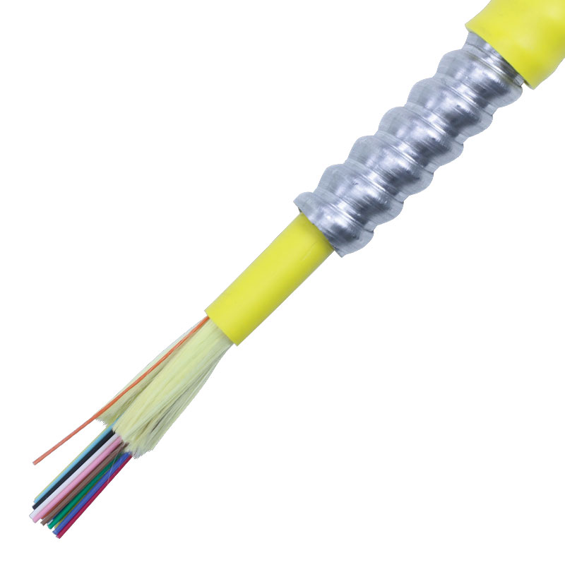 Armored Tight Buffered Circular Premise Cable