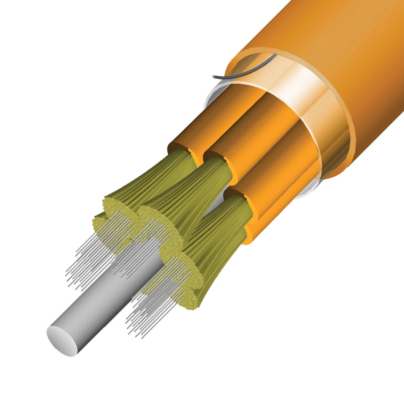 Sub-Unitized Premise MicroCore 30 Base-12